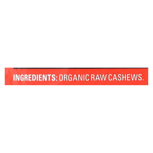 Artisana Organic Raw Cashew Butter - Squeeze Packs - 1.06 Oz - Case Of 10